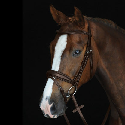Collegiate Mono Crown Padded Raised Flash Bridle