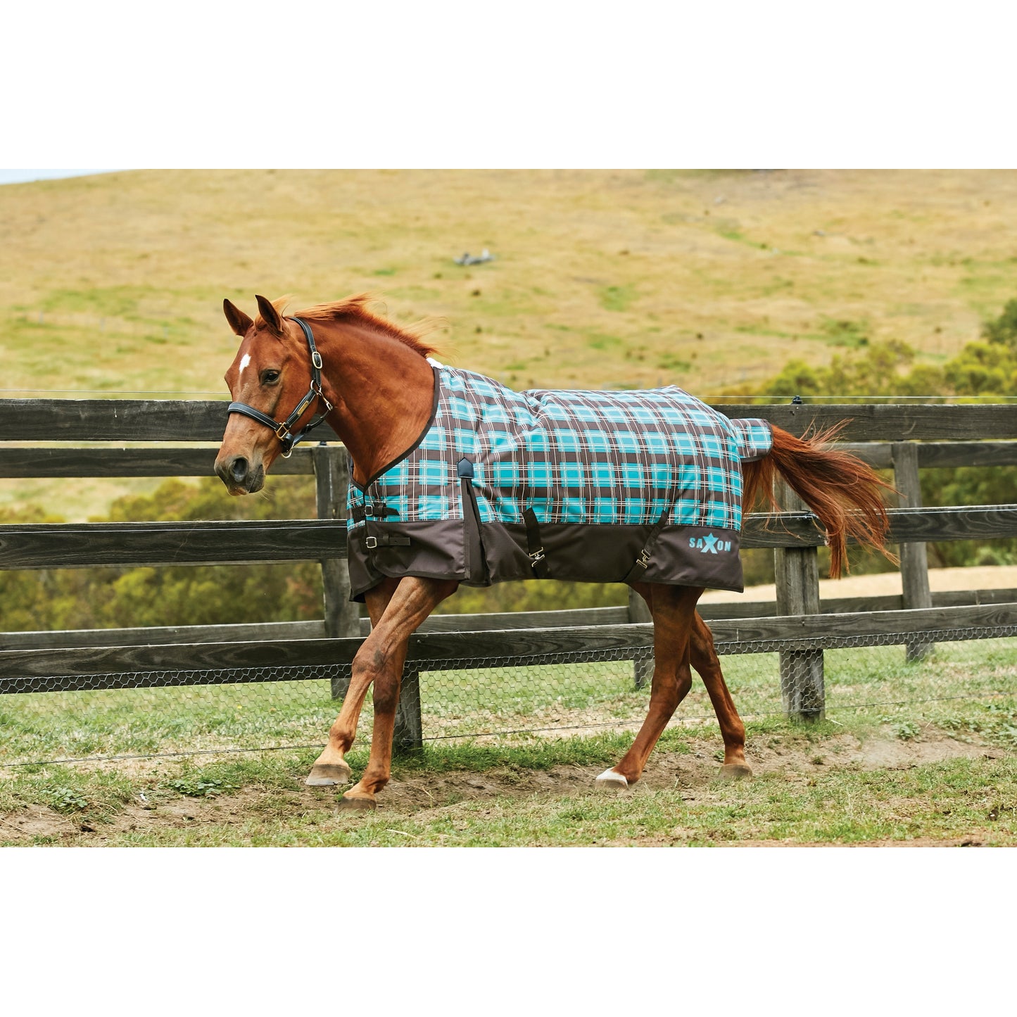 5-838458-tealplaid.jpg