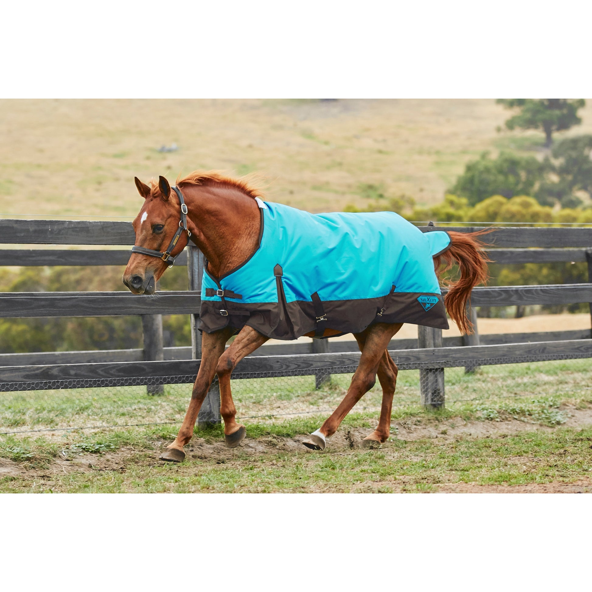 Saxon 1200D Standard Neck Heavy Turnout Blanket With Gusset ll