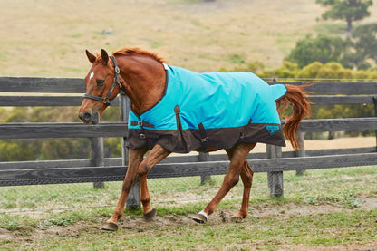 Saxon 1200D Standard Neck Heavy Turnout Blanket With Gusset ll