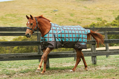 Saxon 1200D Standard Neck Lite Turnout Blanket With Gusset ll