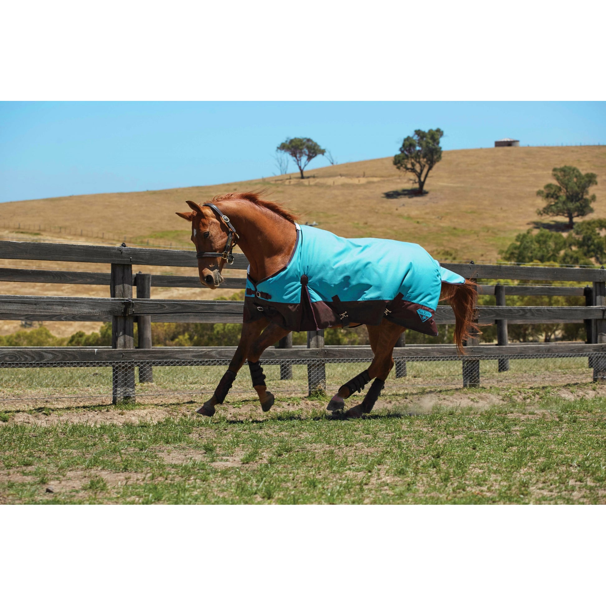 Saxon 1200D Standard Neck Lite Turnout Blanket With Gusset ll