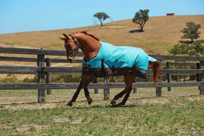 Saxon 1200D Standard Neck Lite Turnout Blanket With Gusset ll