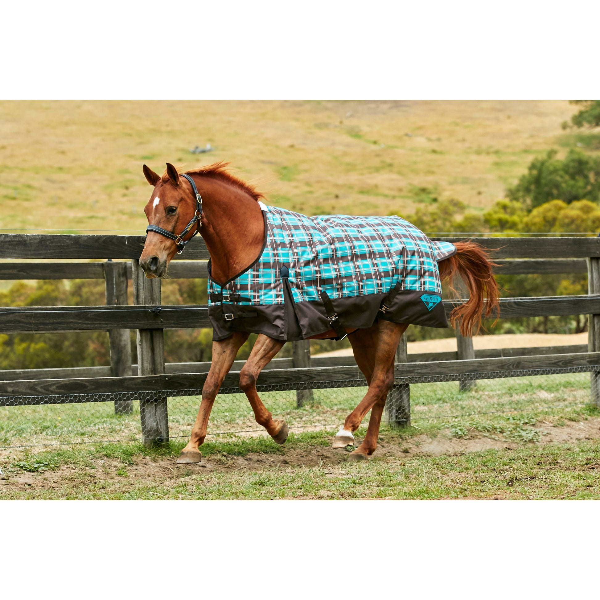 Saxon 1200D Standard Neck Medium Turnout Blanket With Gusset ll