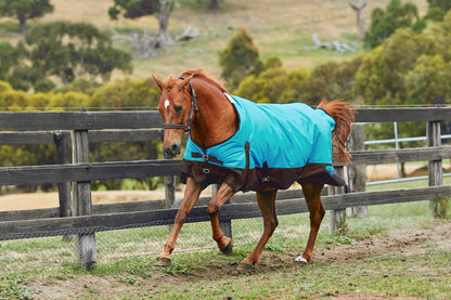 Saxon 1200D Standard Neck Medium Turnout Blanket With Gusset ll