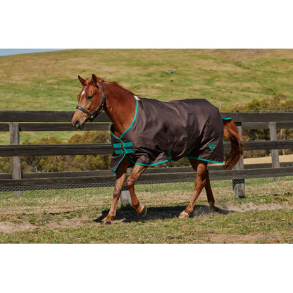 Saxon 600D Standard Neck Lite Turnout Blanket Iv