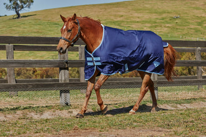 Saxon 600D Standard Neck Lite Turnout Blanket Iv