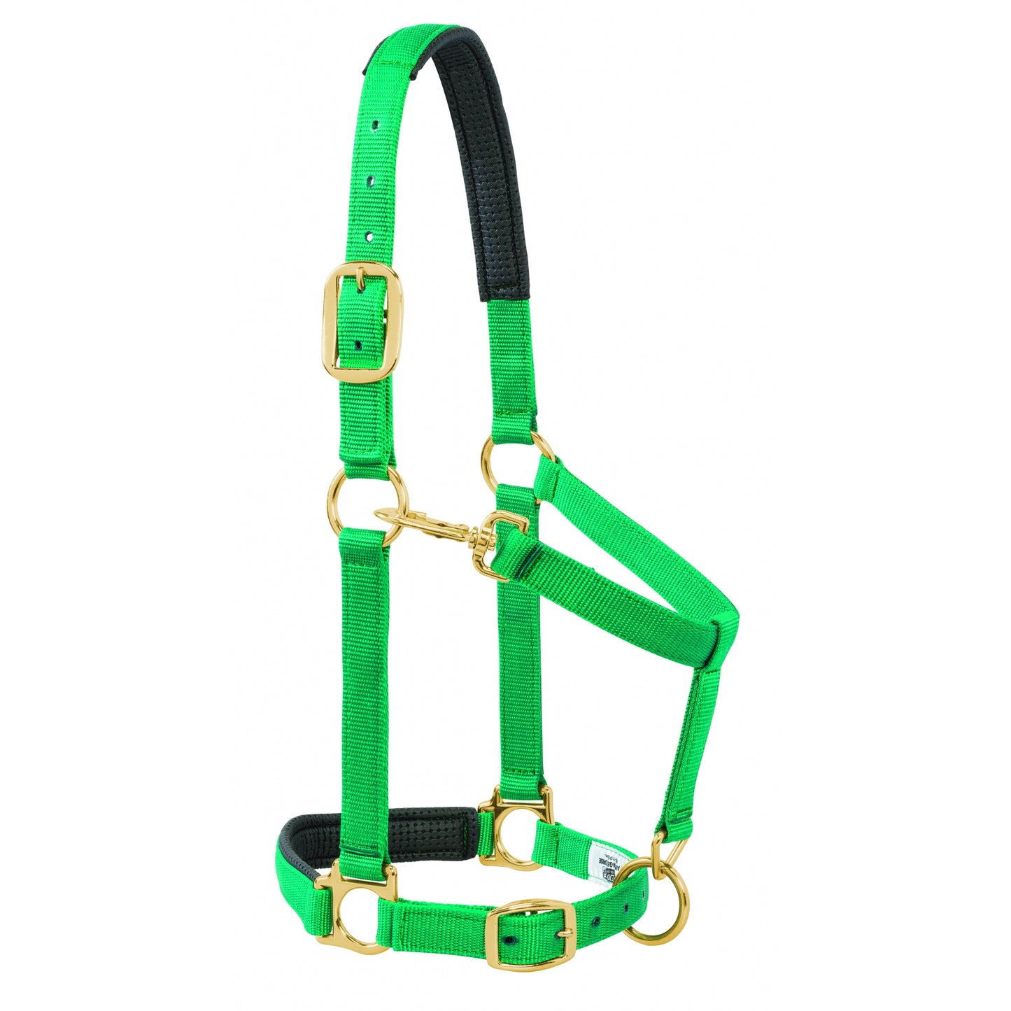 5-841183-green.jpg