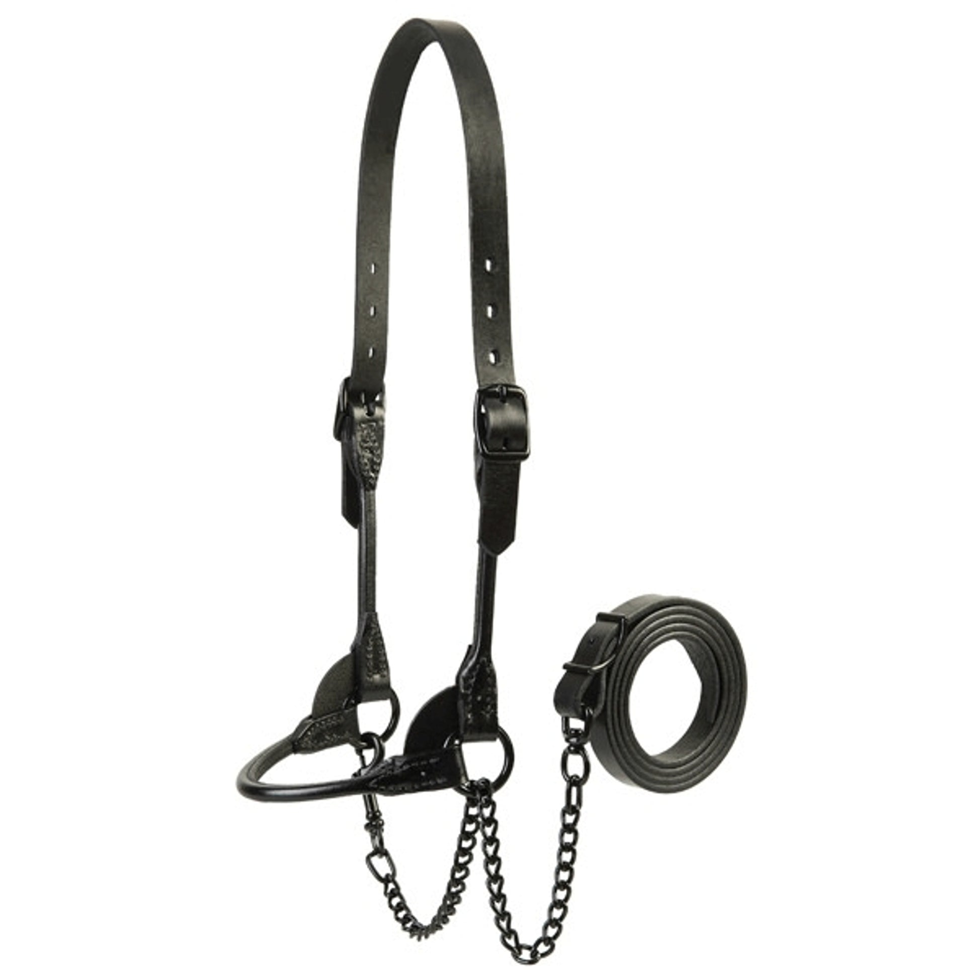 Weaver Doube Buckle Slimline Diary Show Halter