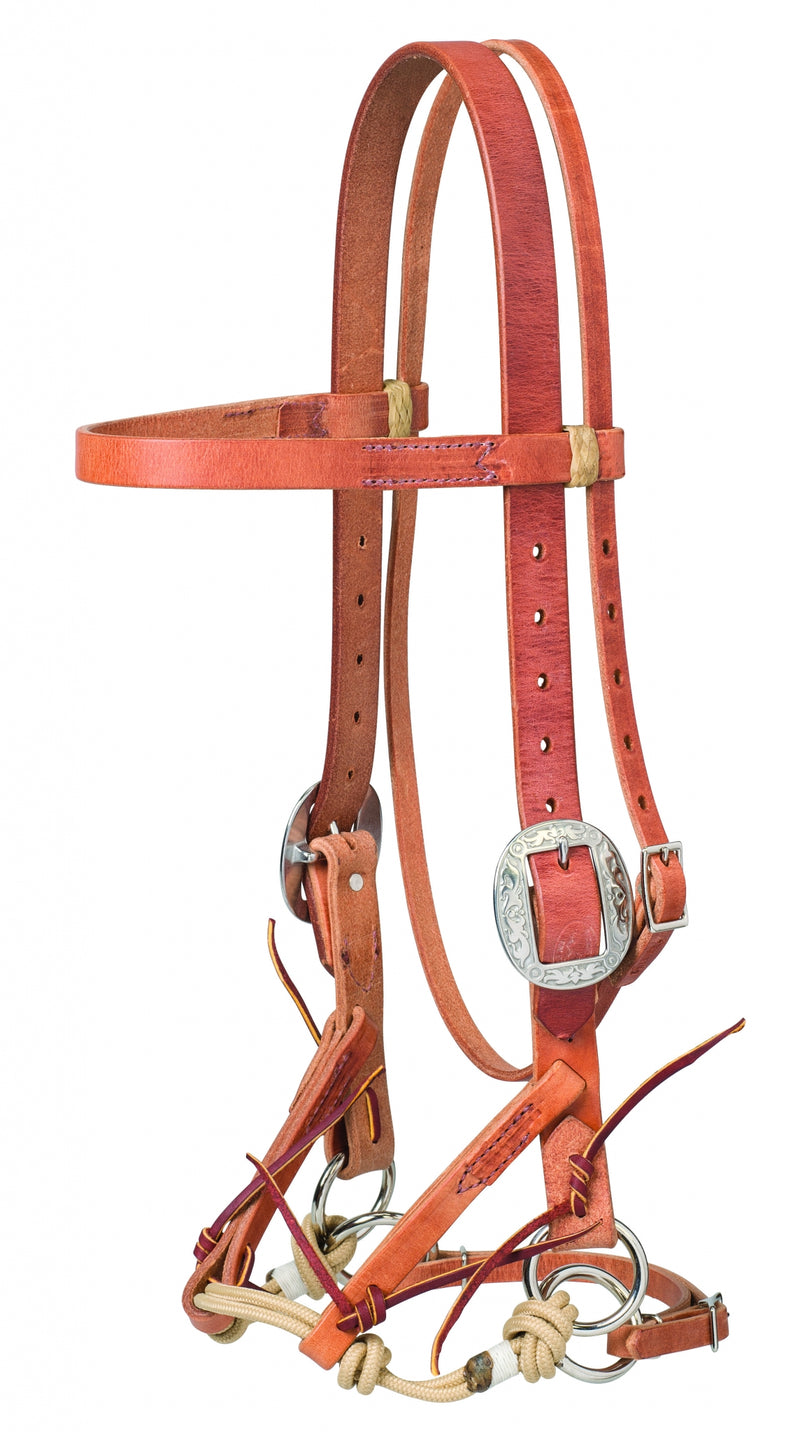 Weaver Justin Dunn Draft Bitless Bridle