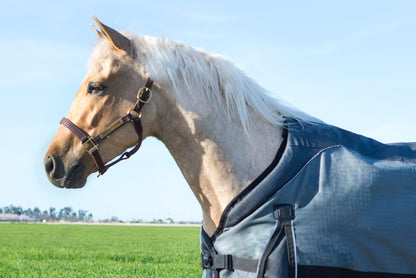Noble Equestrian Guardsman Turnout Blanket - 340 grams
