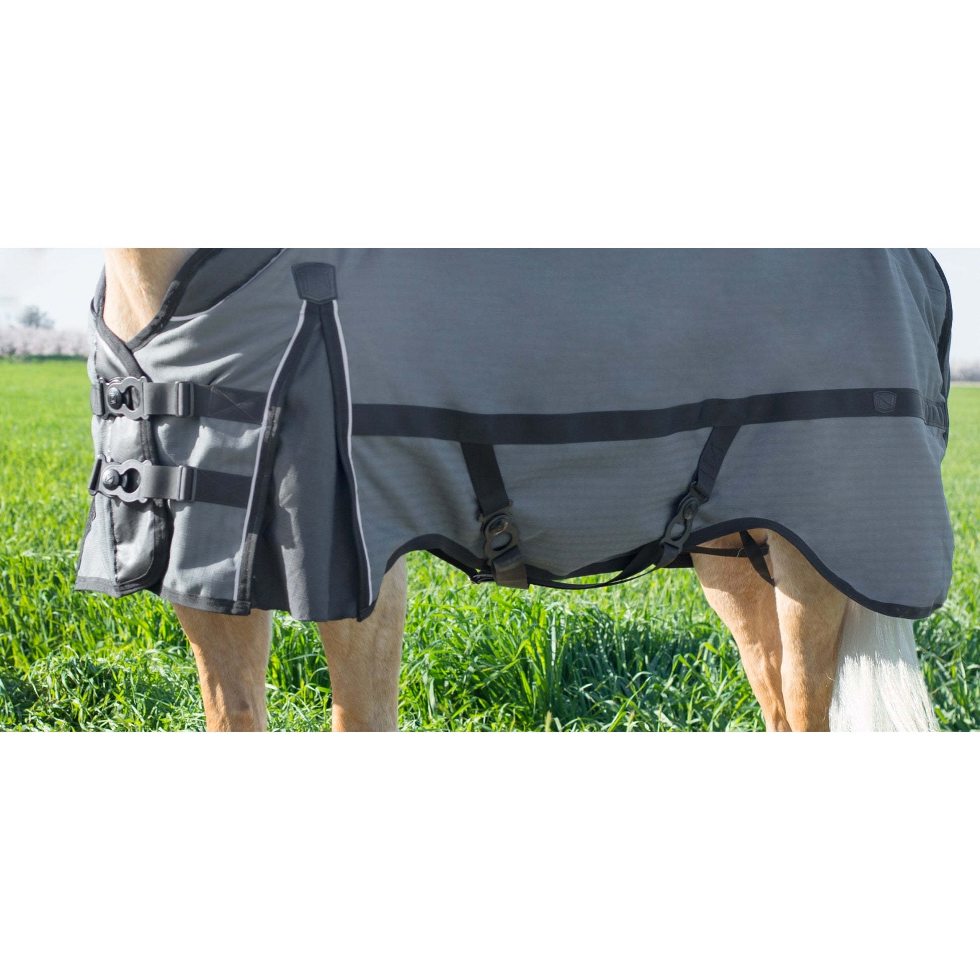 Noble Equestrian Guardsman Turnout Blanket - 340 grams