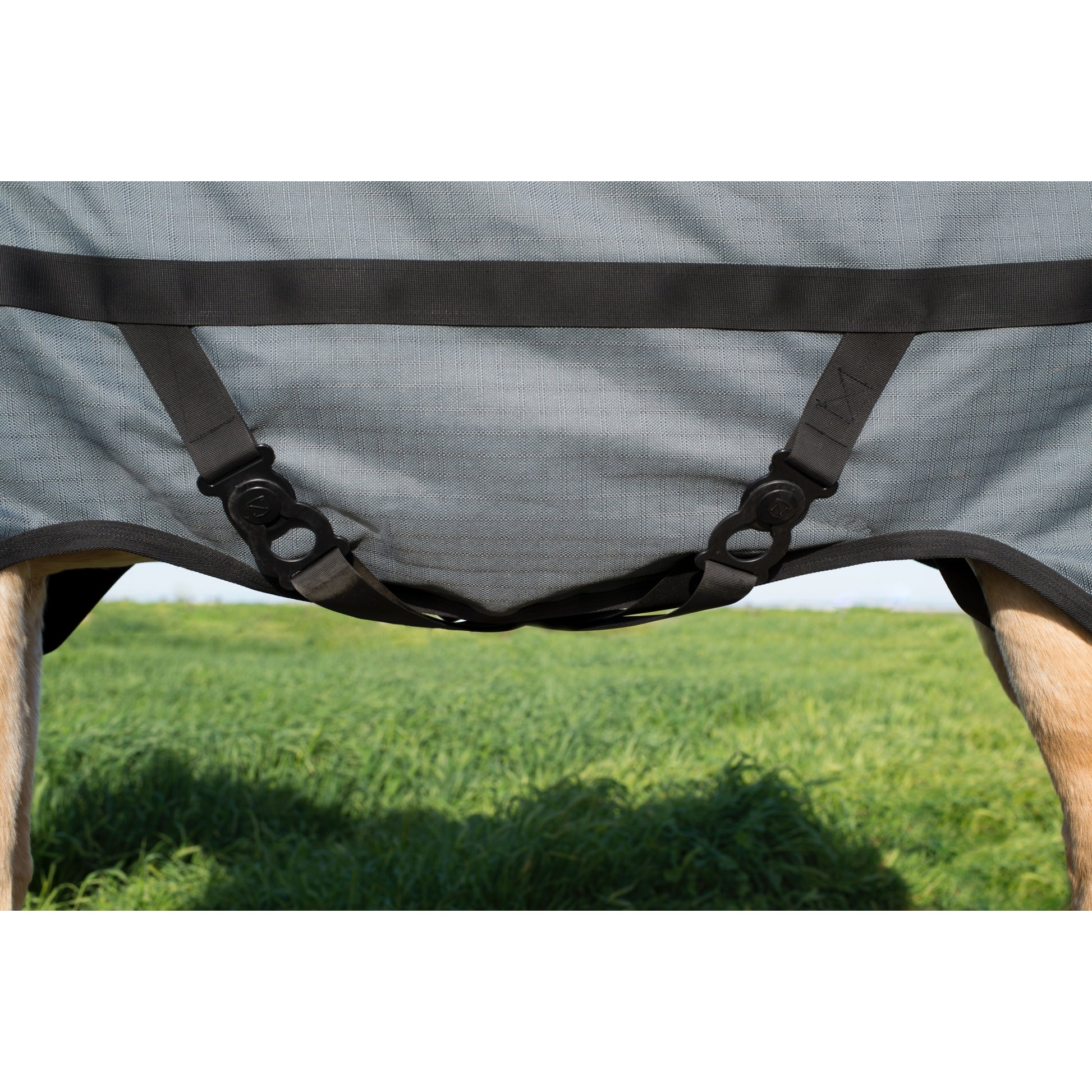 Noble Equestrian Guardsman Turnout Blanket - 340 grams