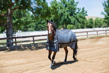 Noble Equestrian Guardsman Turnout Blanket - 340 grams