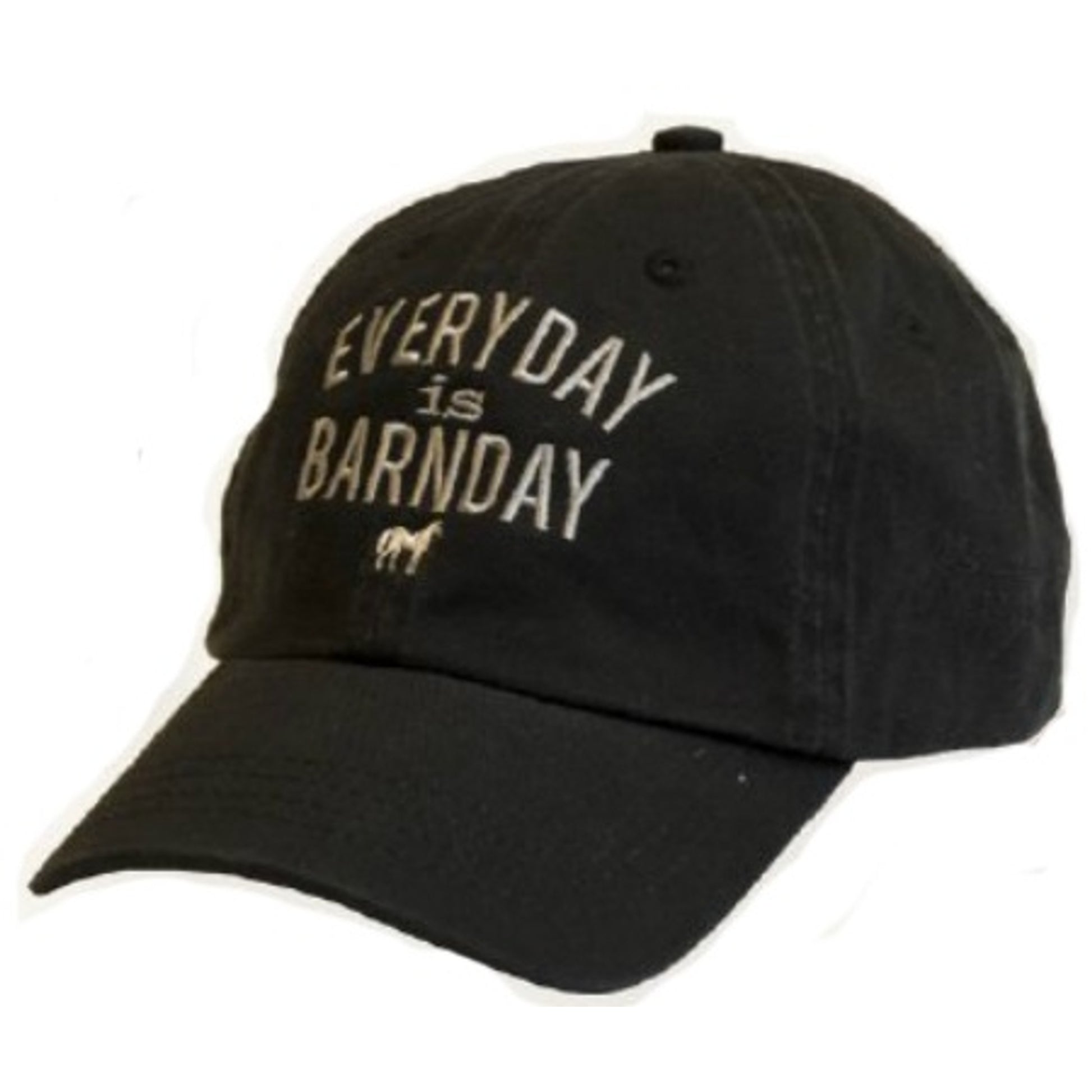 Stirrups Youth Everyday Is Barnday Embroidered Cap