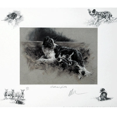 Sally Mitchell Fine Art Dog Prints - Mother's Pride