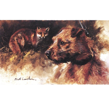 Sally Mitchell Fine Art Dog Prints - Border Terrier