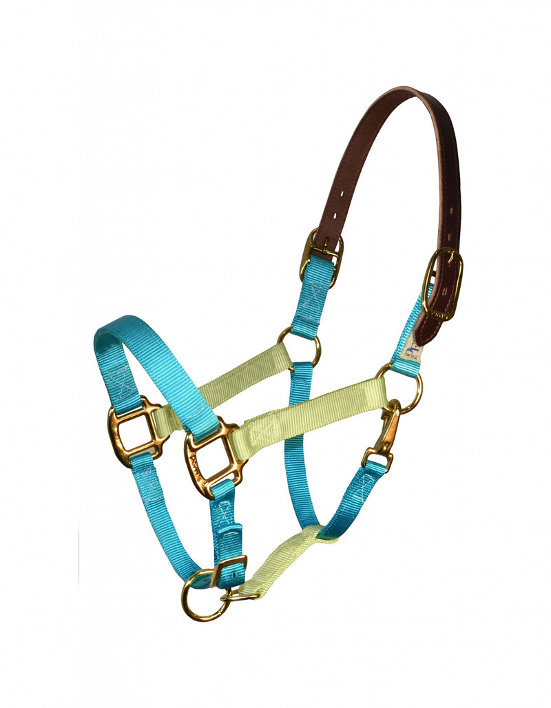 Perri's Color Vision Halter