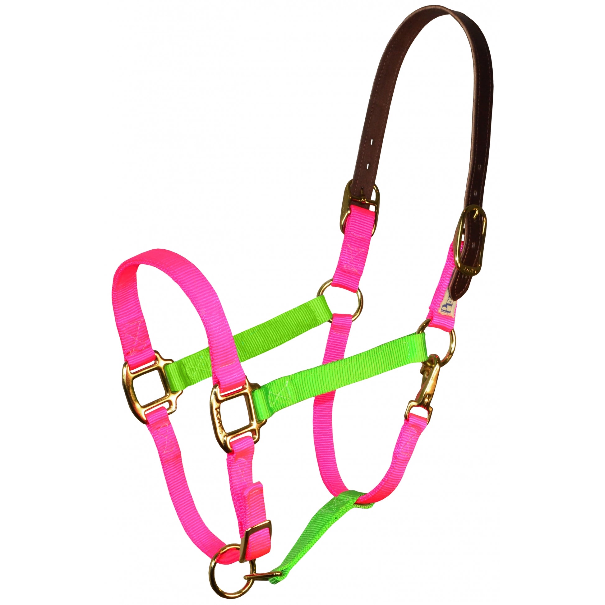 Perri's Color Vision Halter