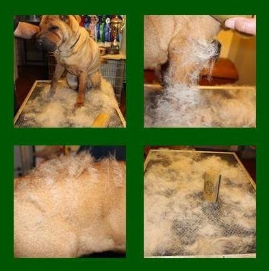 Sleekez Grooming Tool