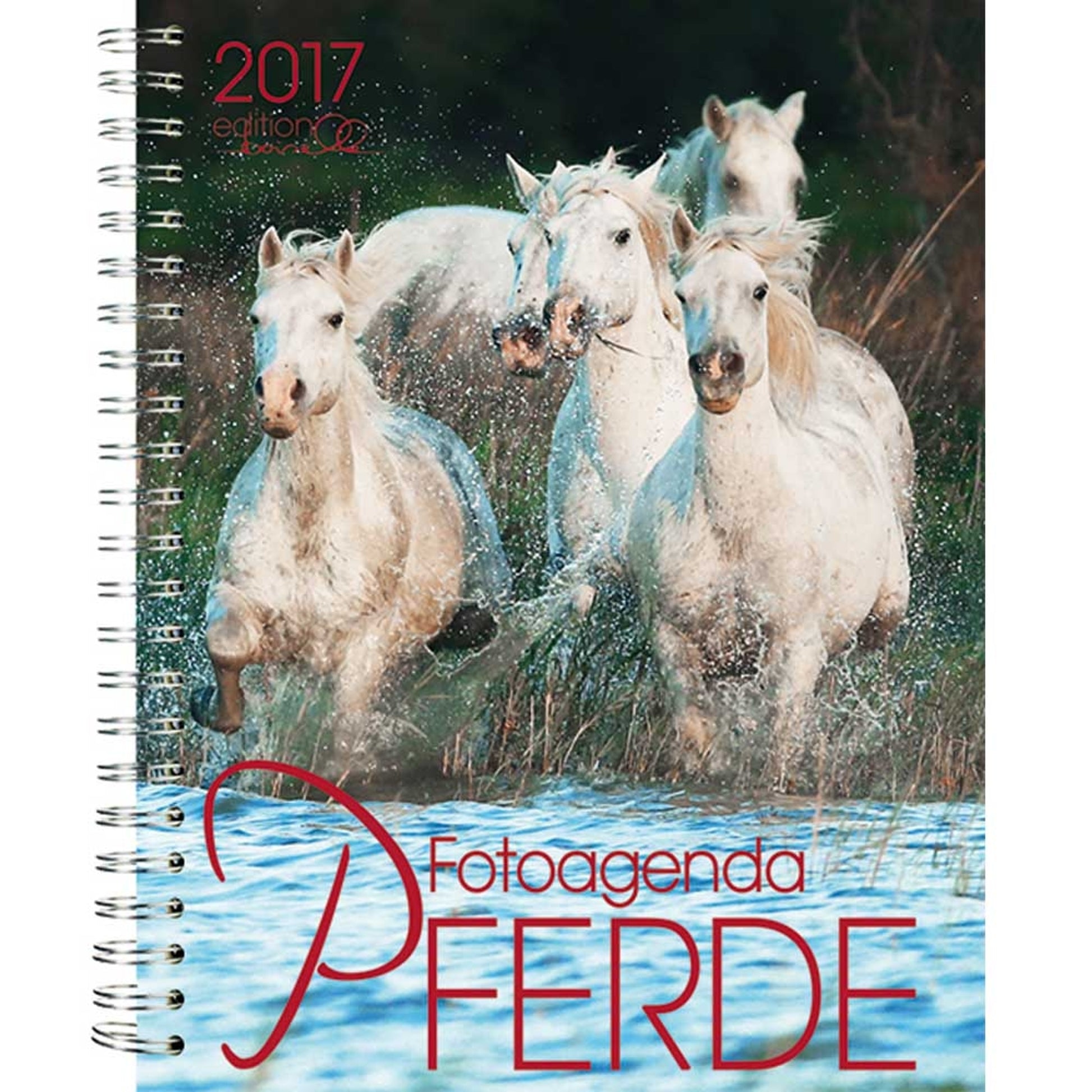 Boiselle Agenda/Diary Horse Calendar - 2017