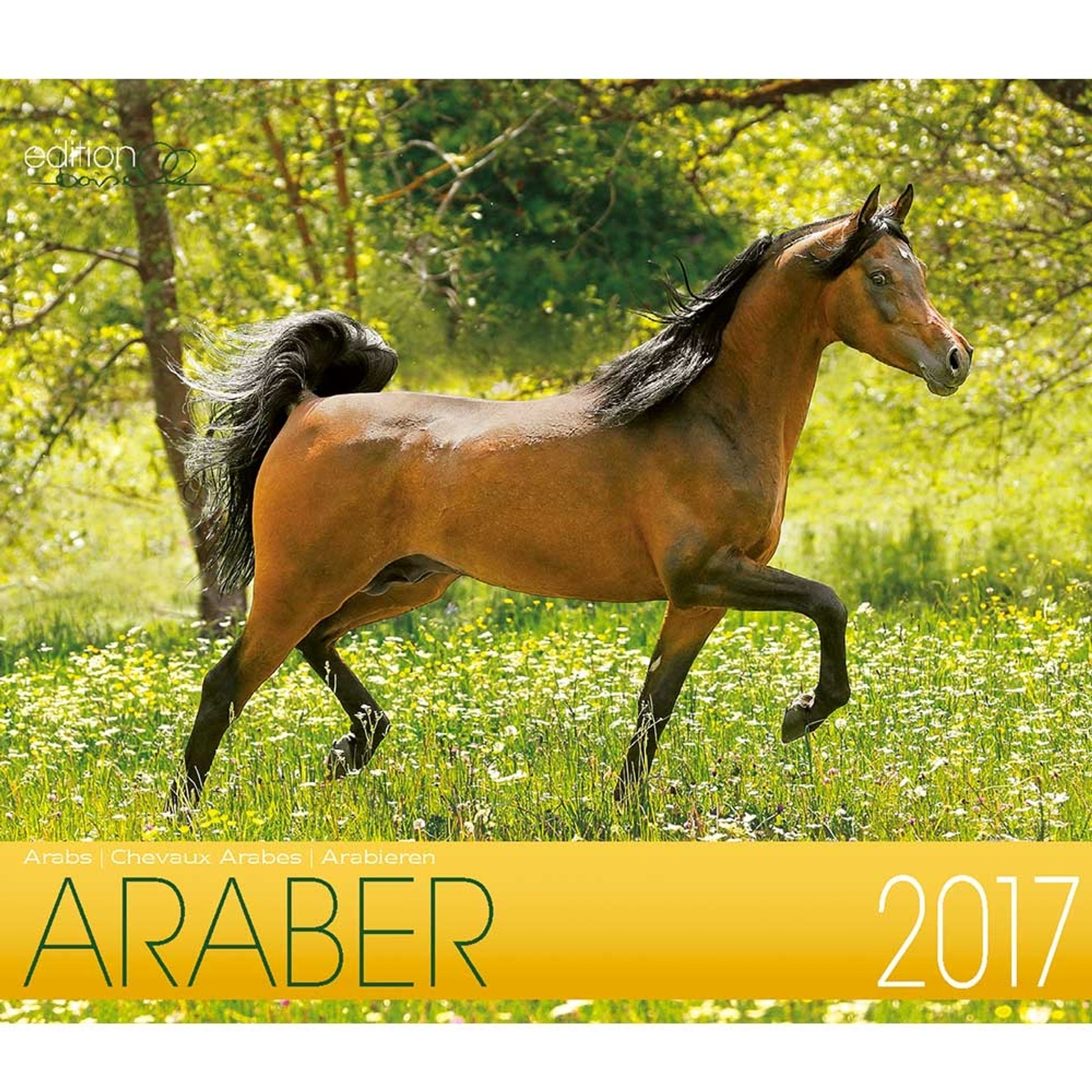 Boiselle Mid Sized Calendar Arabian - 2017