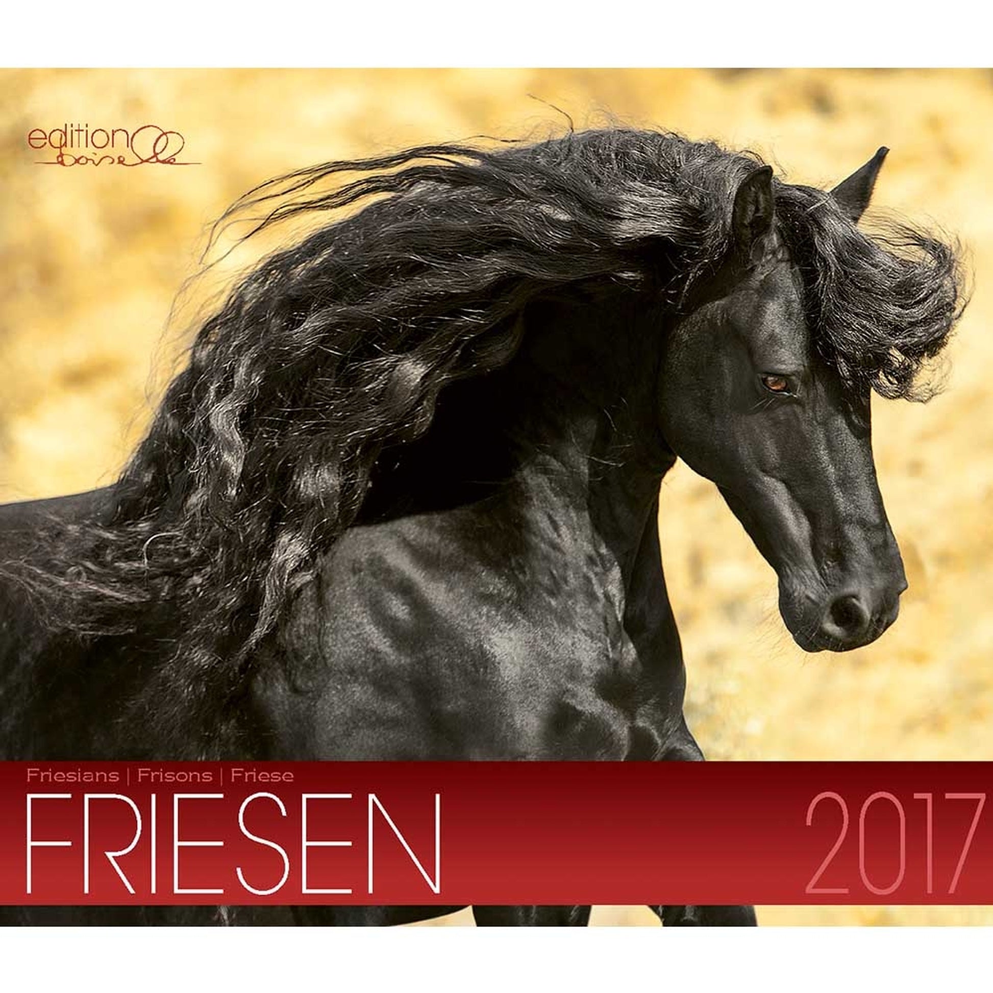 Boiselle Mid Sized Calendar Friesian - 2017