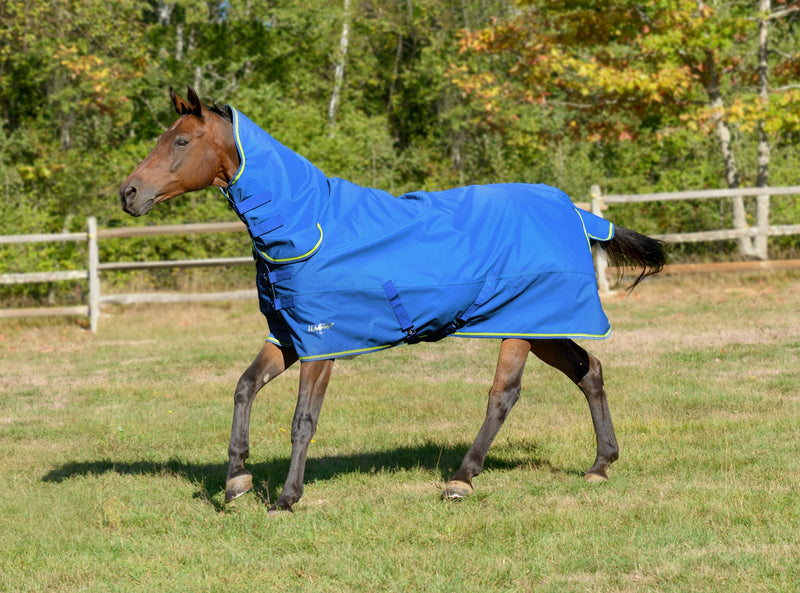 Shires Tempest Original 100 Combo