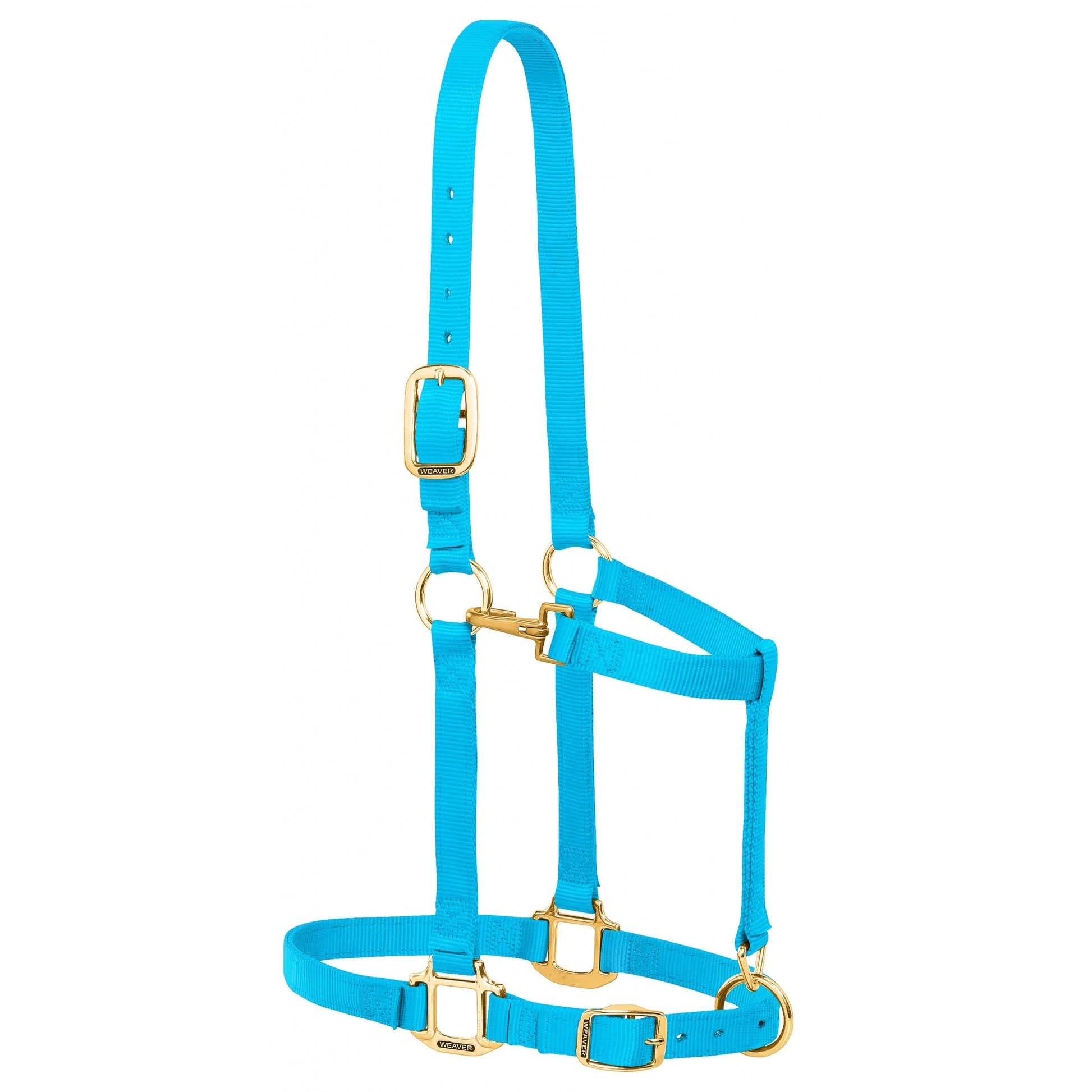Weaver Nylon 1" Adjustable Draft Horse Halter
