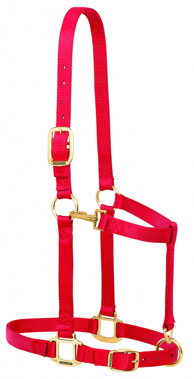 Weaver Nylon 1" Adjustable Draft Horse Halter