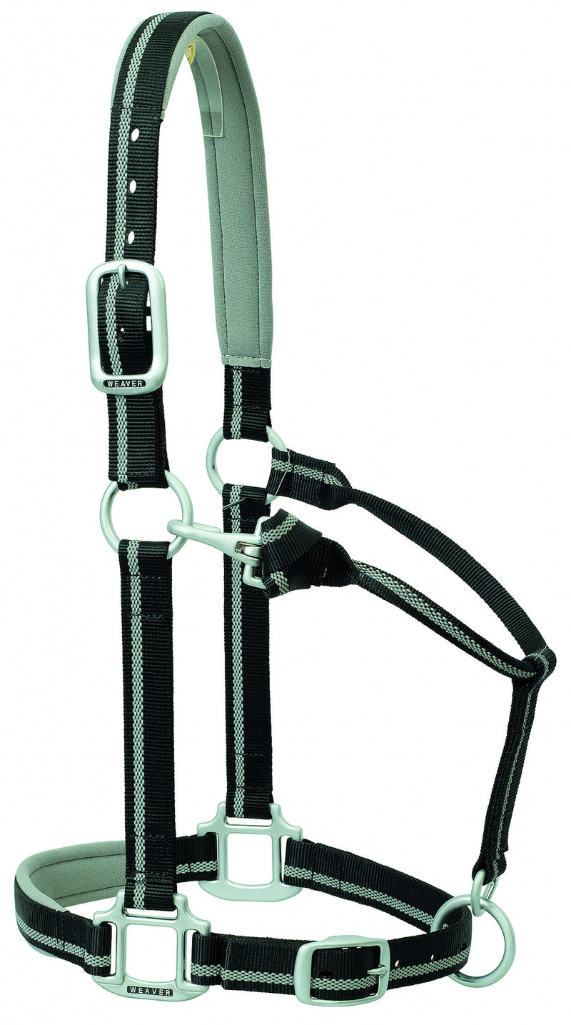 Weaver Nylon Padded Reflective Adjustable Horse Halter