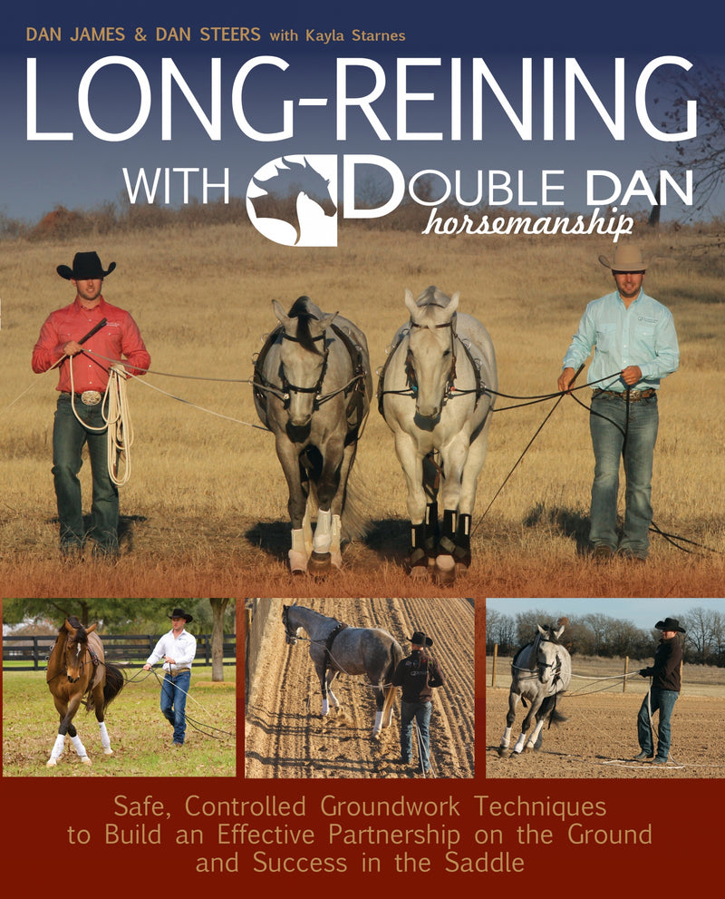 Long Reining With Double Dan