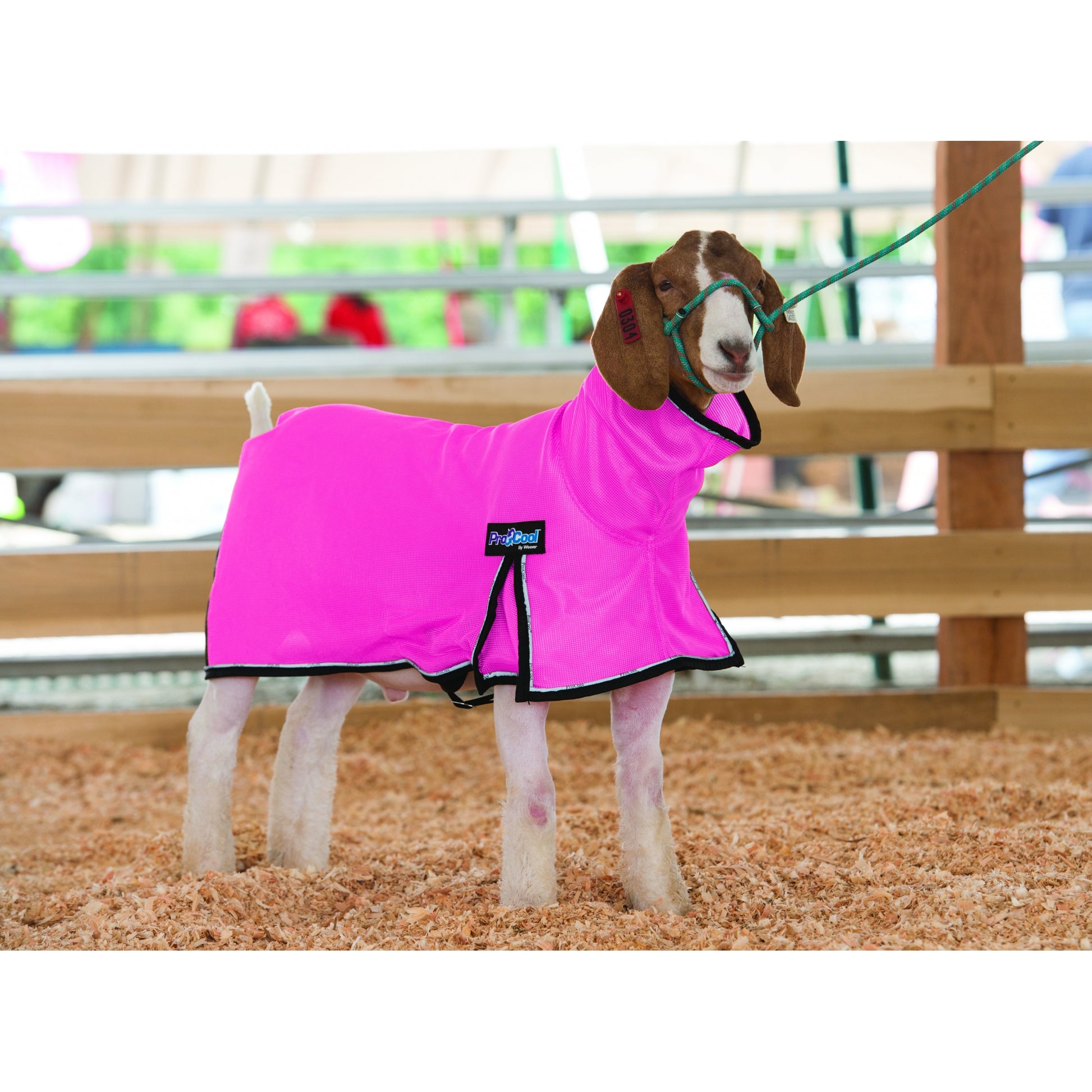 ProCool Mesh Goat Blanket with Reflective Piping