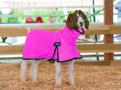 ProCool Mesh Goat Blanket with Reflective Piping