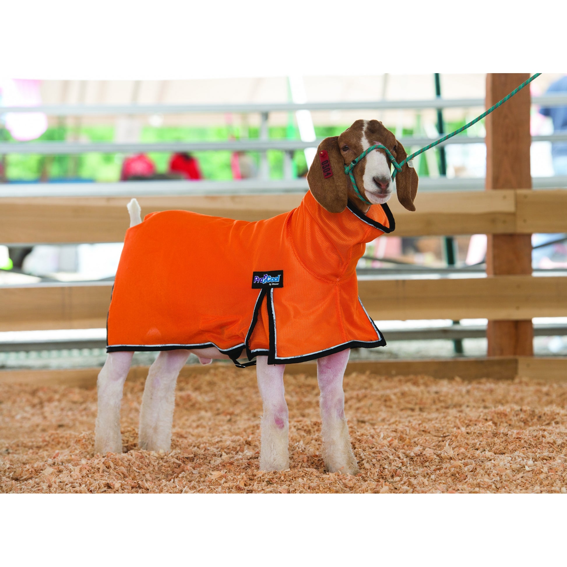 ProCool Mesh Goat Blanket with Reflective Piping