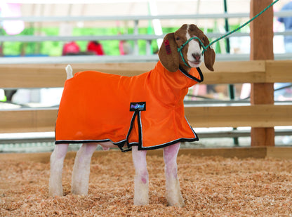 ProCool Mesh Goat Blanket with Reflective Piping