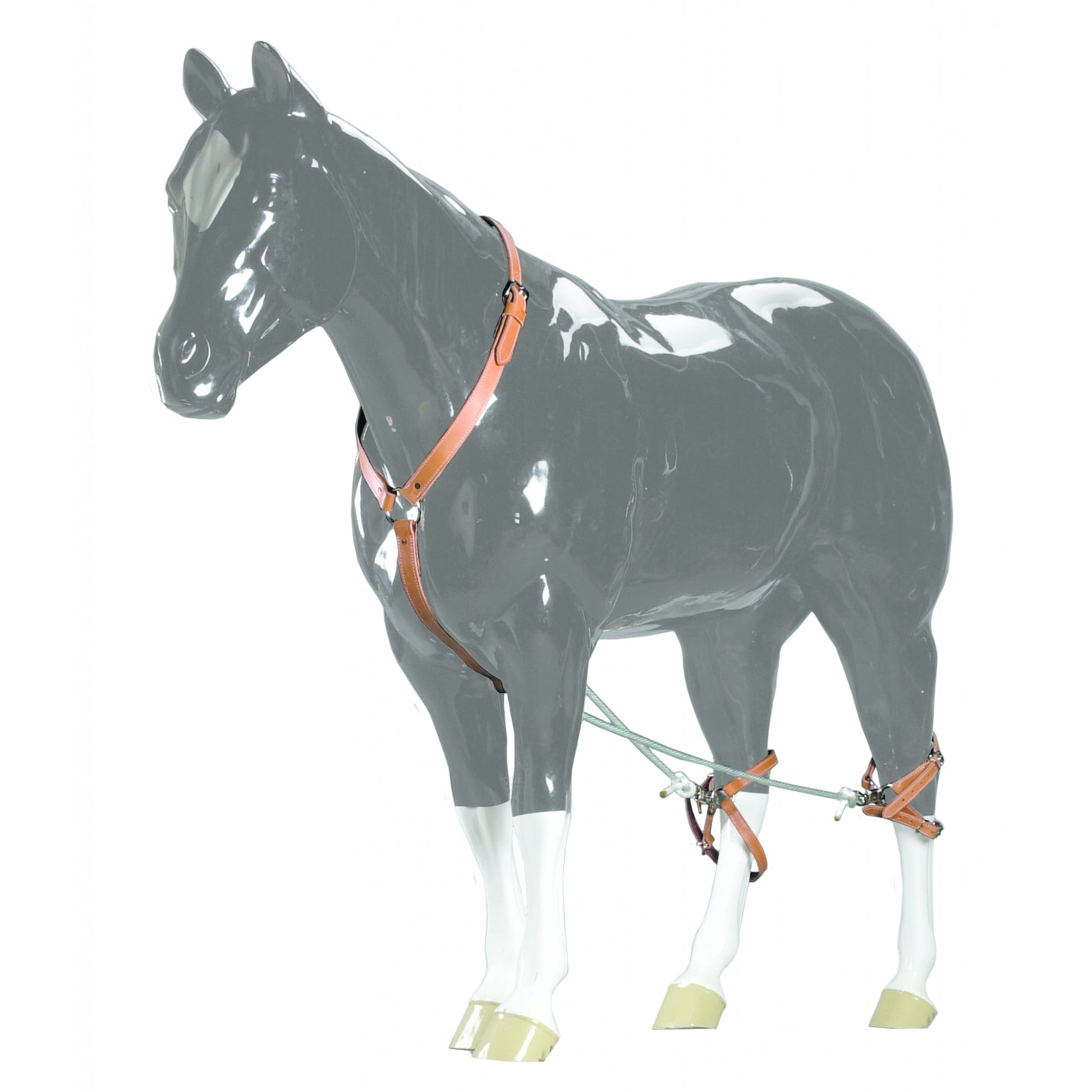 Colorado Saddlery Breeding Hobbles