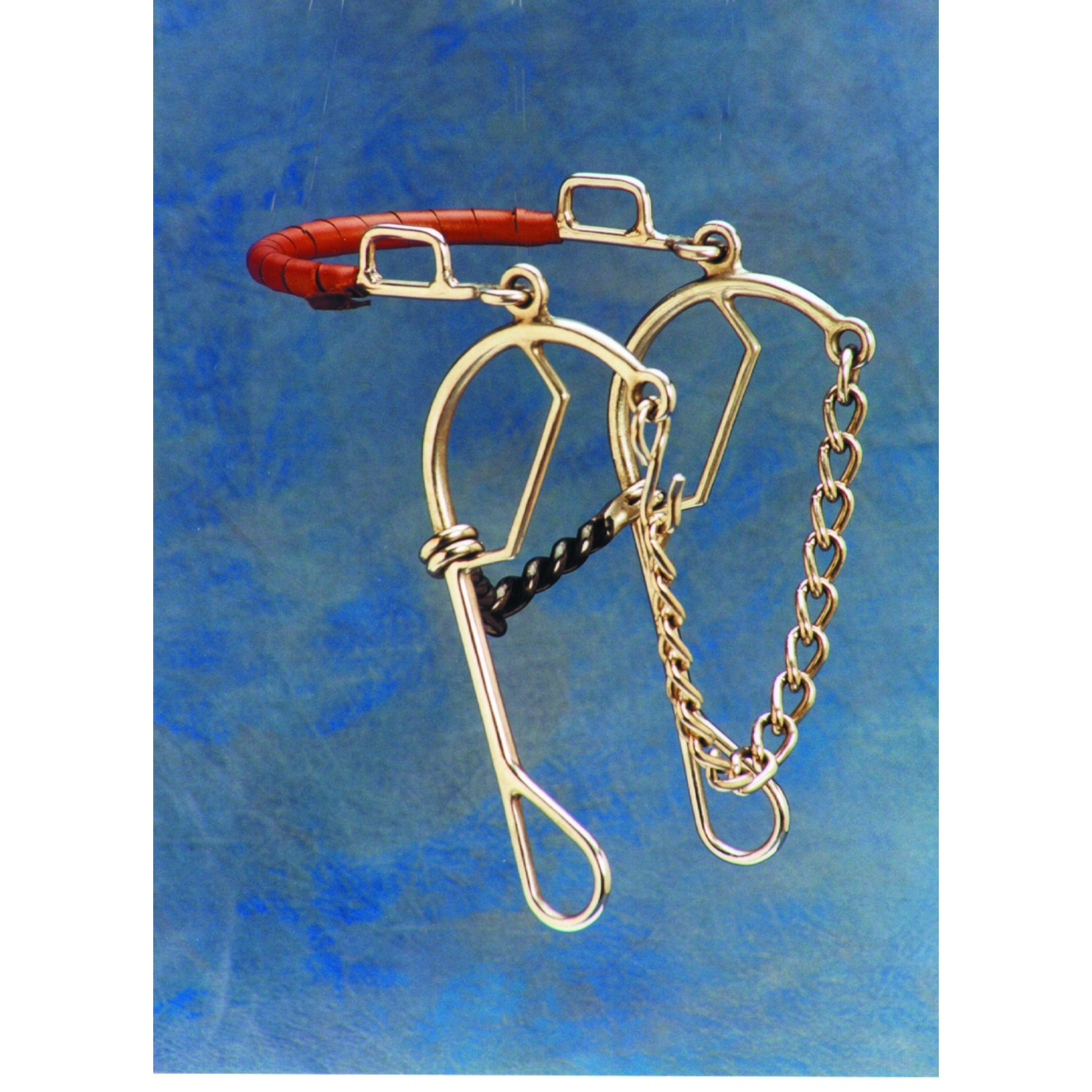 Colorado Saddlery Short Shankd Gag Hackamore Combo Bit