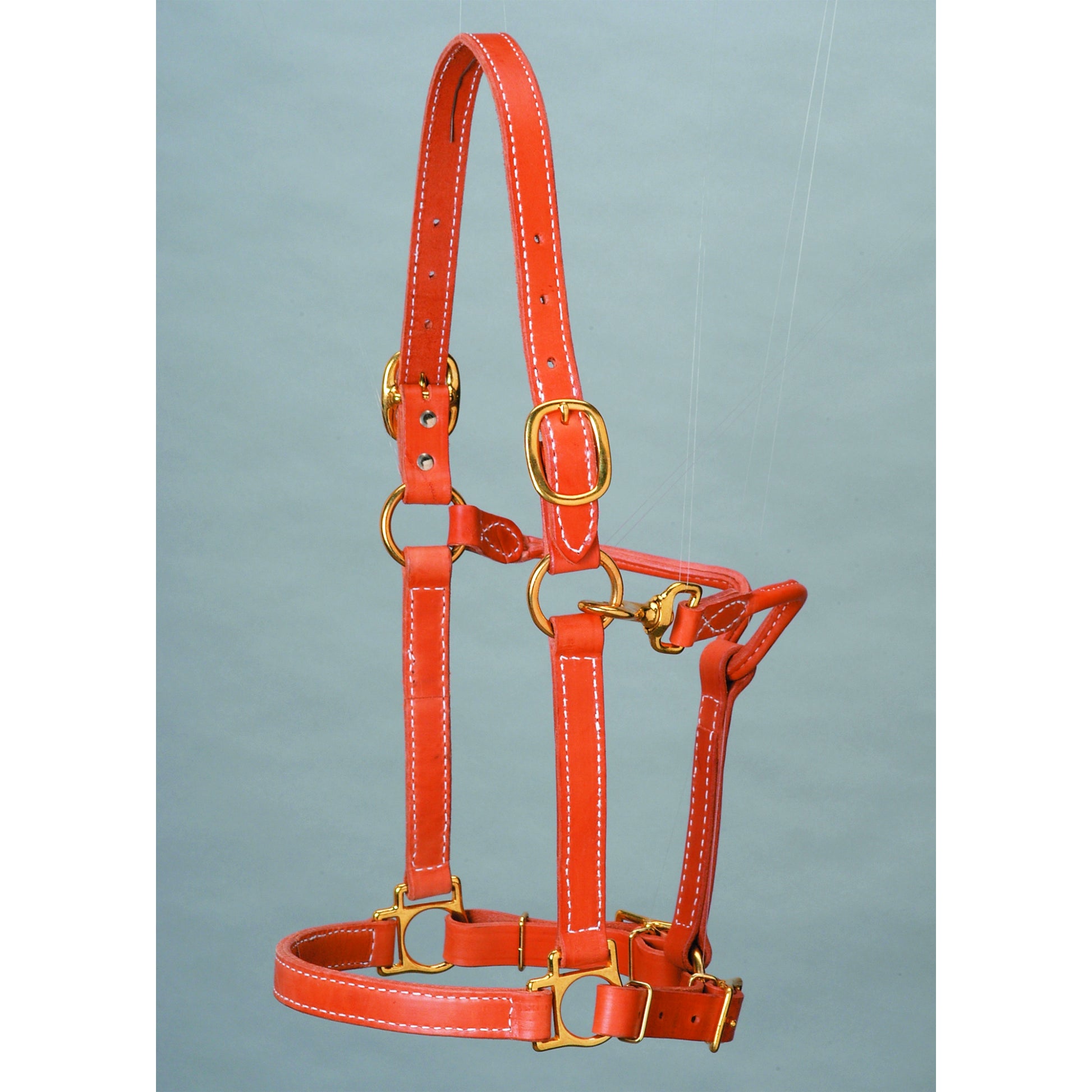 Colorado Saddlery Top Of The Line Leather Track Style Halter