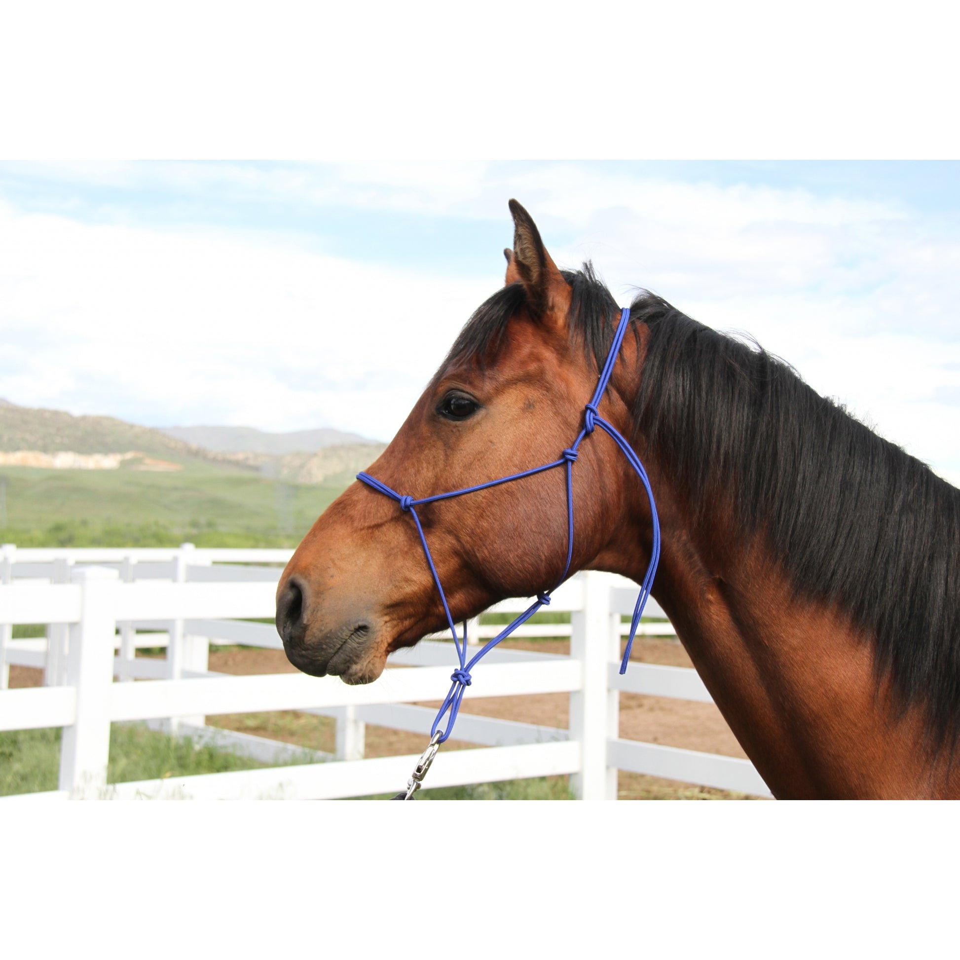 Colorado Saddlery Trail Knotted Halter