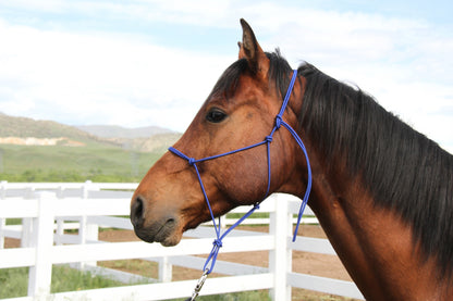 Colorado Saddlery Trail Knotted Halter
