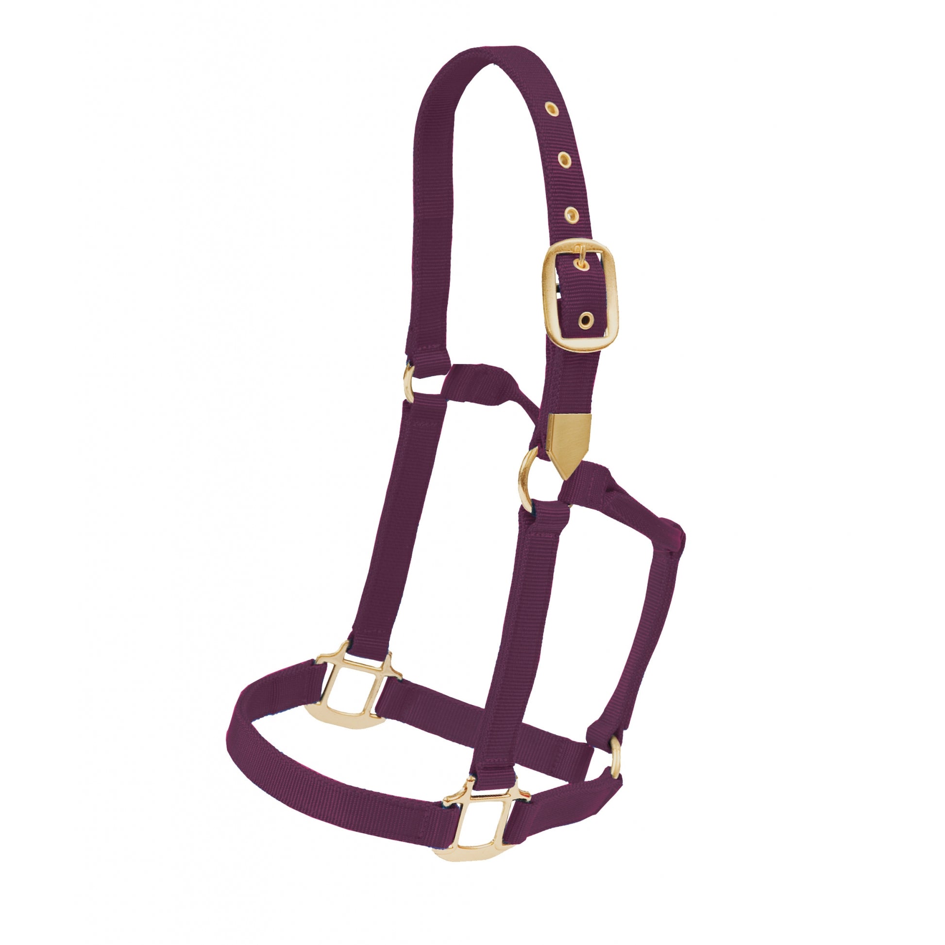 Colorado Saddlery White Stallion Hi Country Nylon Halter