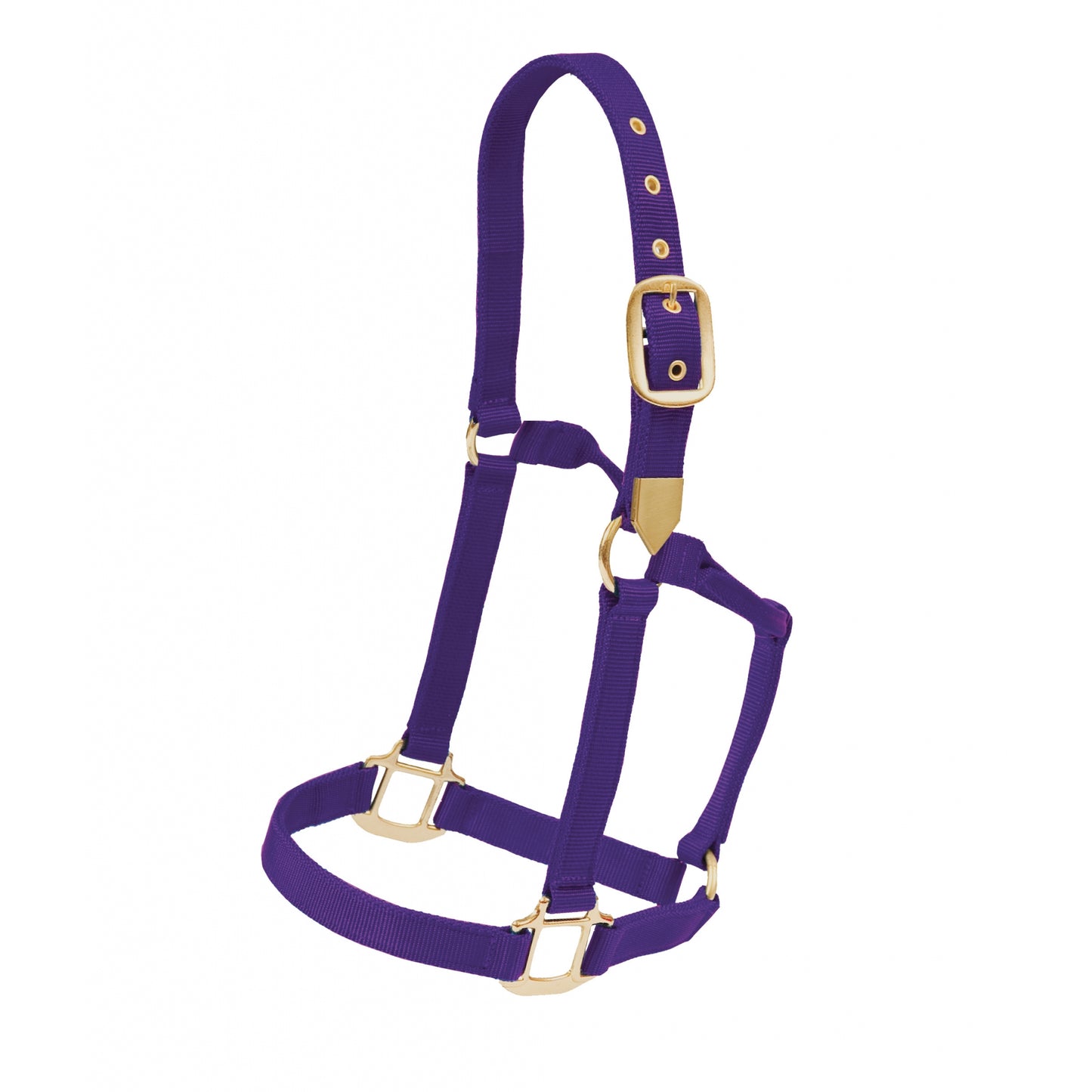 5-881097-purple.jpg