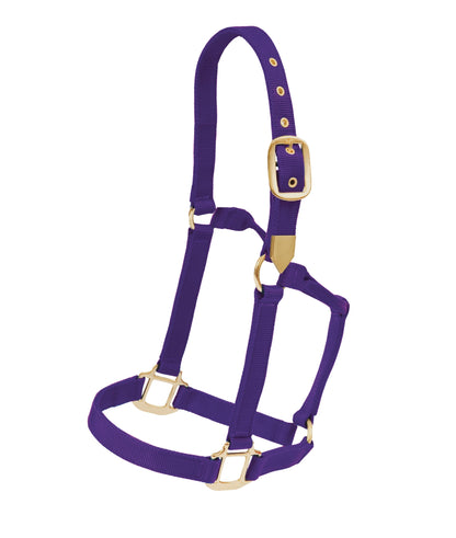 Colorado Saddlery White Stallion Hi Country Nylon Halter