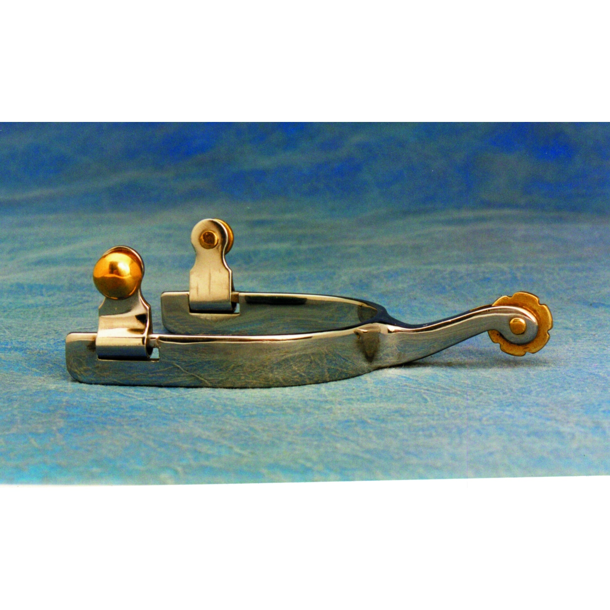 Colorado Saddlery Wild Horse Spurs