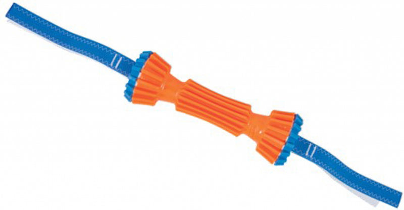 Chuckit Rugged Bumper