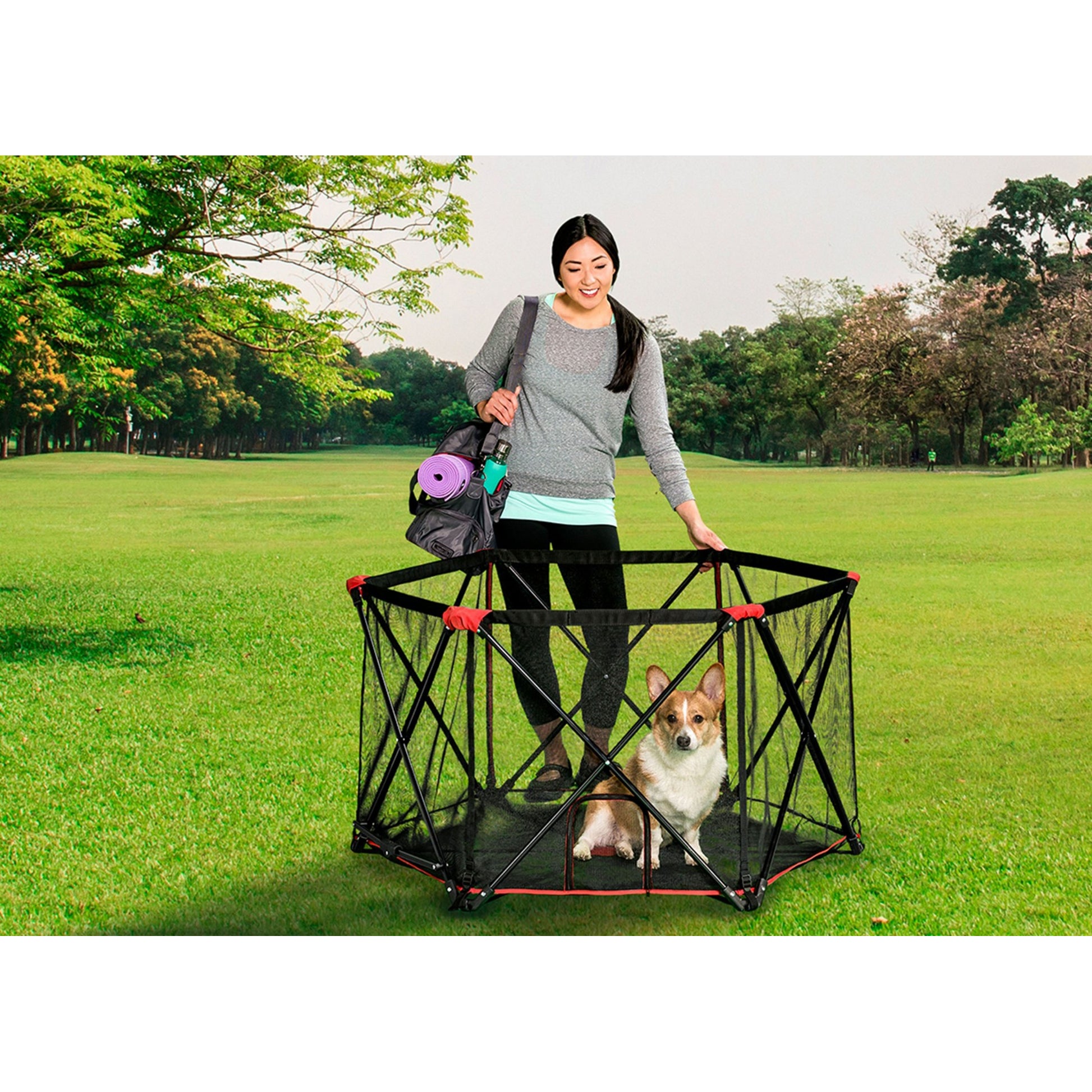 6 Panel Portable Pen With Pet Door & Carry Case