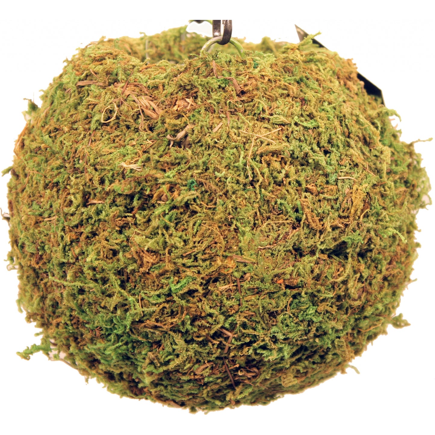 5-883315-green.jpg