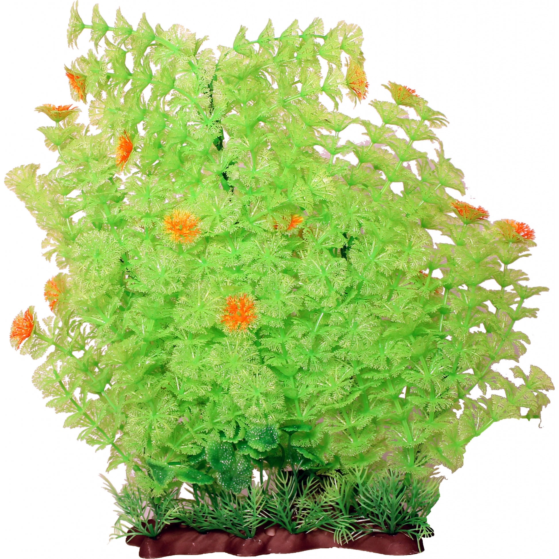 Poppy Pet Extra Wide Bushy Ambulia Aquarium Plant