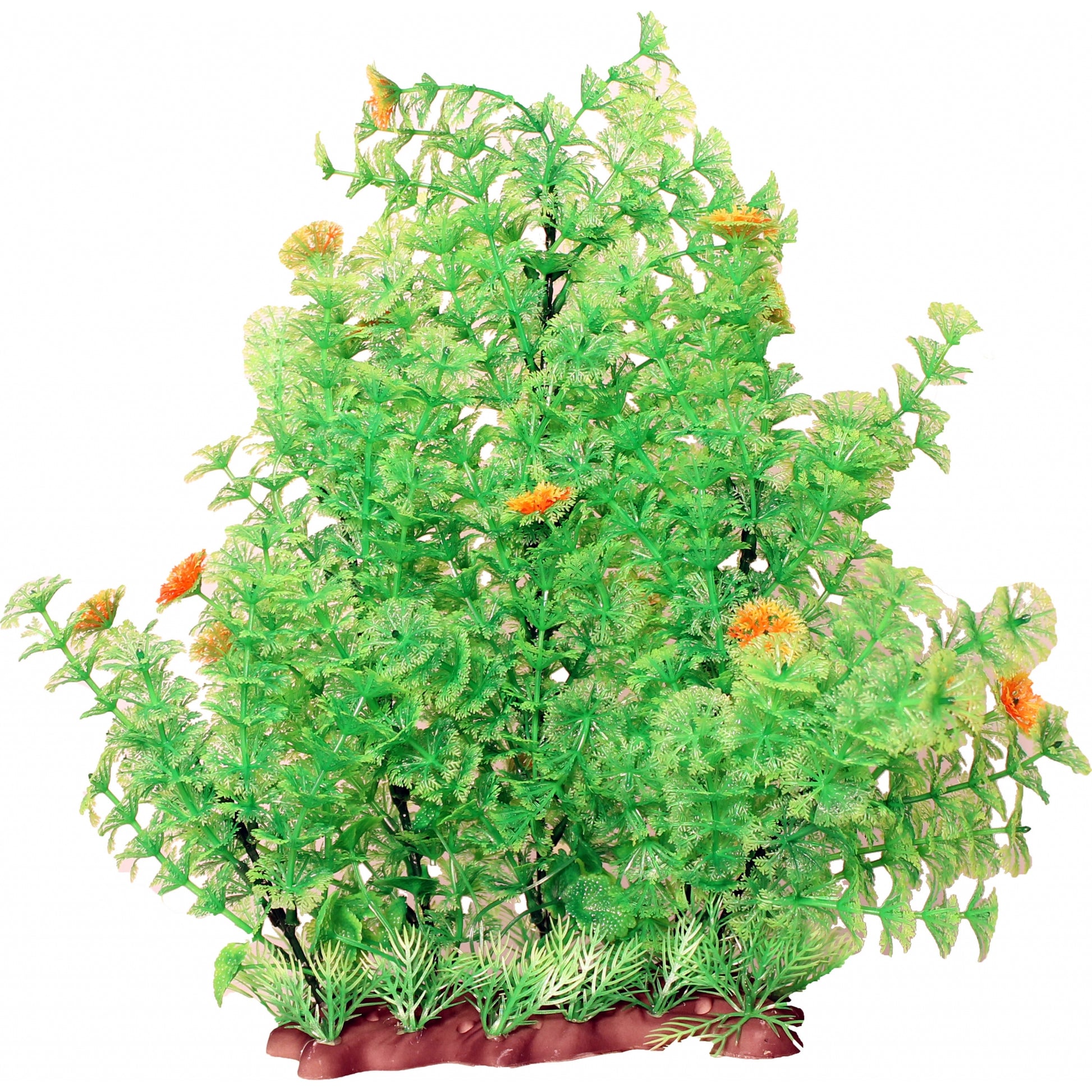 Poppy Pet Extra Wide Bushy Ambulia Aquarium Plant